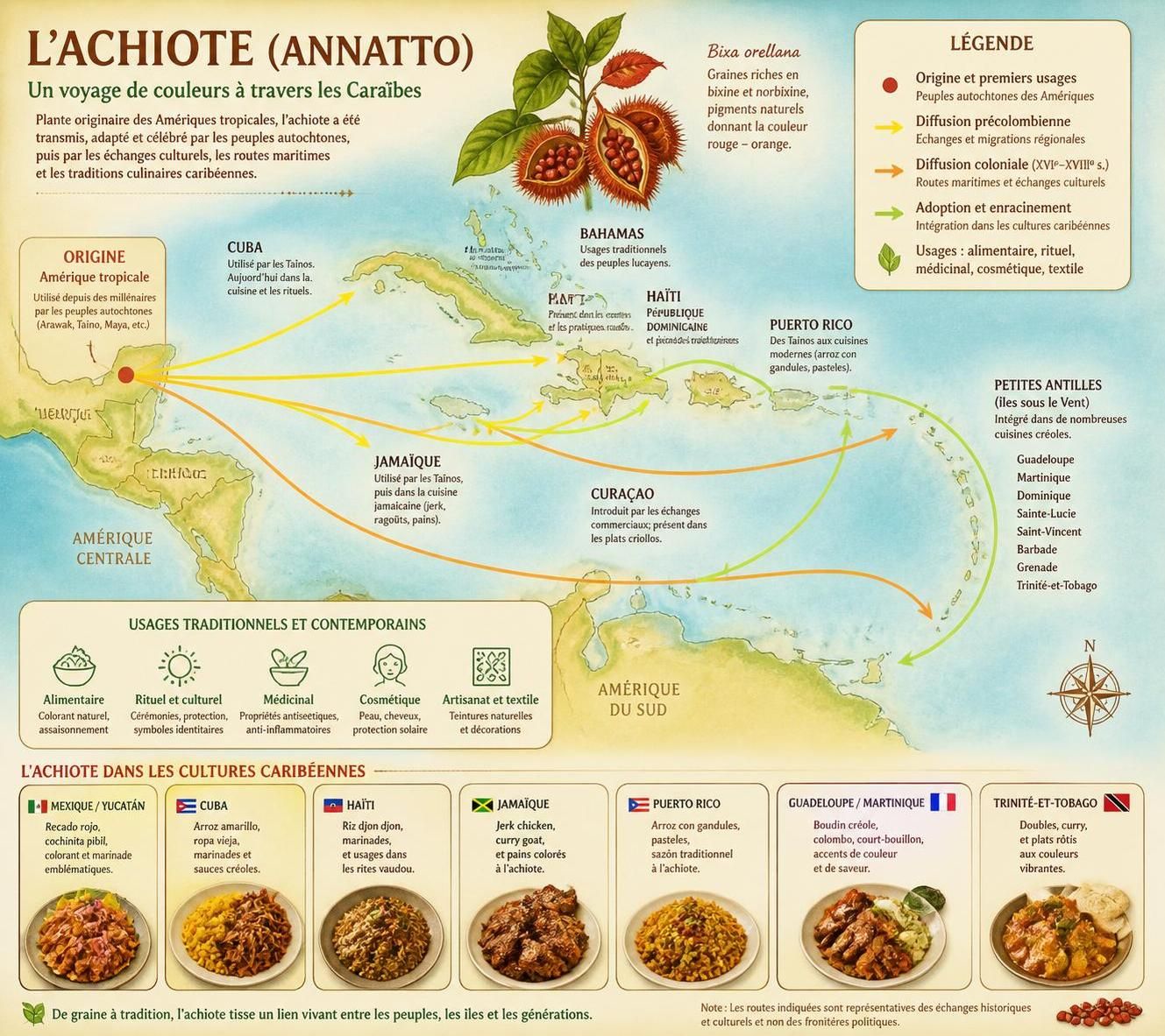 découvrez comment préparer l'huile d'annatto (achiote) et l'utiliser pour sublimer vos plats caribéens avec sa couleur vive et sa saveur unique.