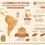 découvrez notre recette de cinnamon rolls à la cannelle de ceylan, une délicieuse pâtisserie qui célèbre l'épice reine d'amérique latine avec une touche authentique et savoureuse.