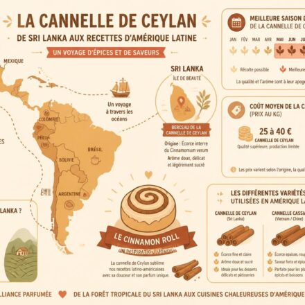 découvrez notre recette de cinnamon rolls à la cannelle de ceylan, une délicieuse pâtisserie qui célèbre l'épice reine d'amérique latine avec une touche authentique et savoureuse.