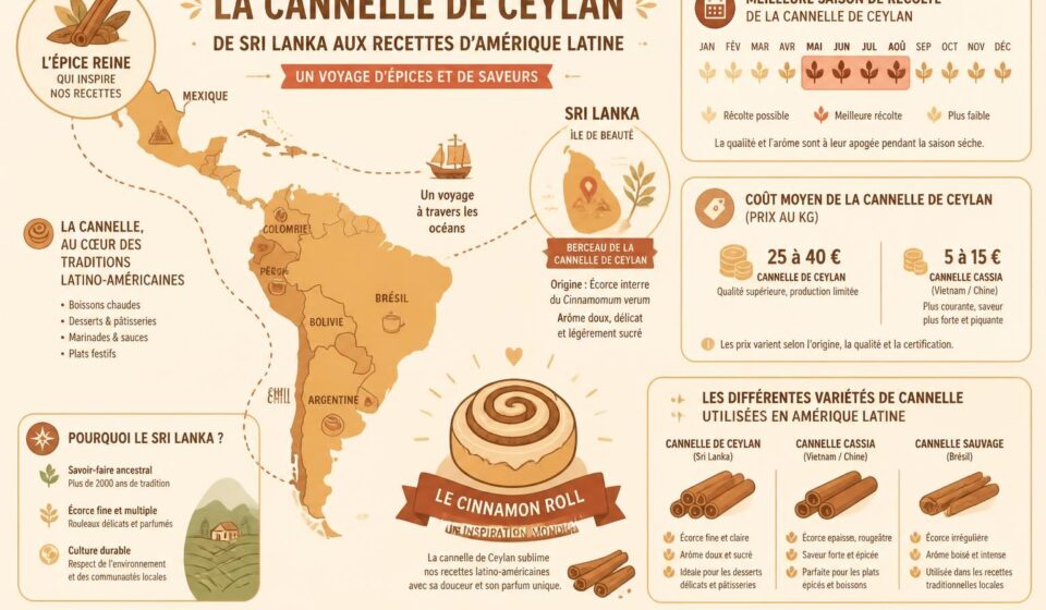 découvrez notre recette de cinnamon rolls à la cannelle de ceylan, une délicieuse pâtisserie qui célèbre l'épice reine d'amérique latine avec une touche authentique et savoureuse.