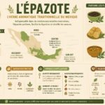 découvrez l'épazote, l'herbe mexicaine secrète qui apporte une saveur unique aux haricots noirs, tamales et soupes, pour sublimer vos plats authentiques.