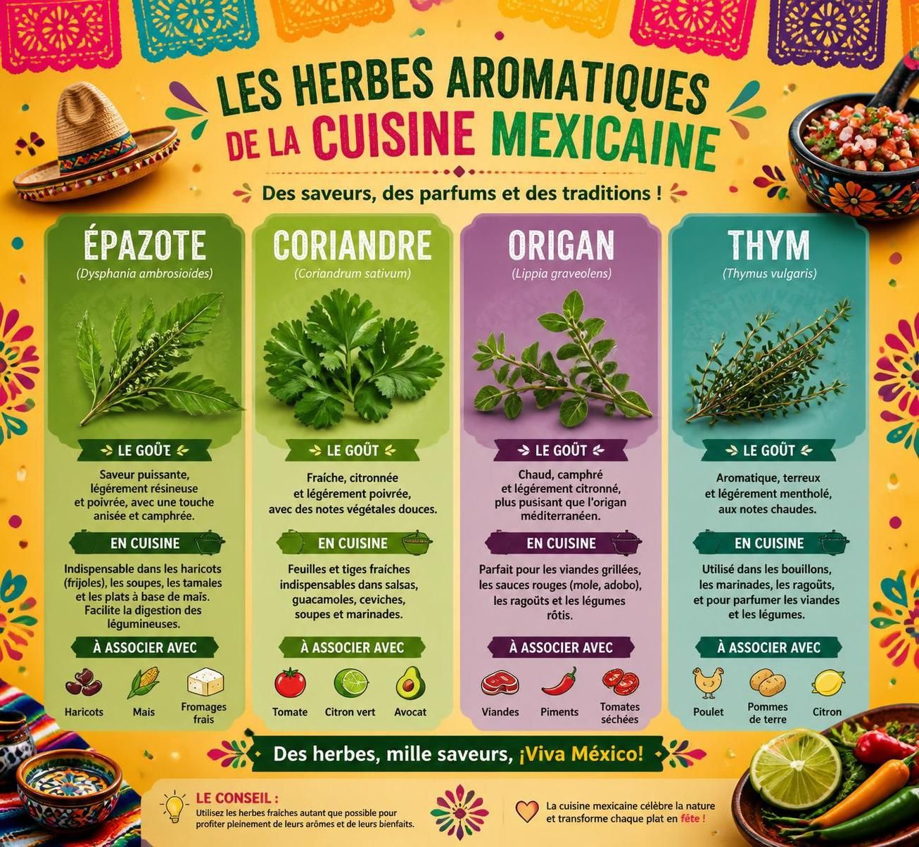 découvrez l'épazote, l'herbe mexicaine secrète qui relève le goût des haricots noirs, tamales et soupes, apportant une saveur unique et authentique à vos plats.