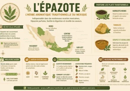 Épazote : l’herbe mexicaine secrète qui parfume haricots noirs, tamales et soupes découvrez l'épazote, l'herbe mexicaine secrète qui apporte une saveur unique aux haricots noirs, tamales et soupes, pour sublimer vos plats authentiques.