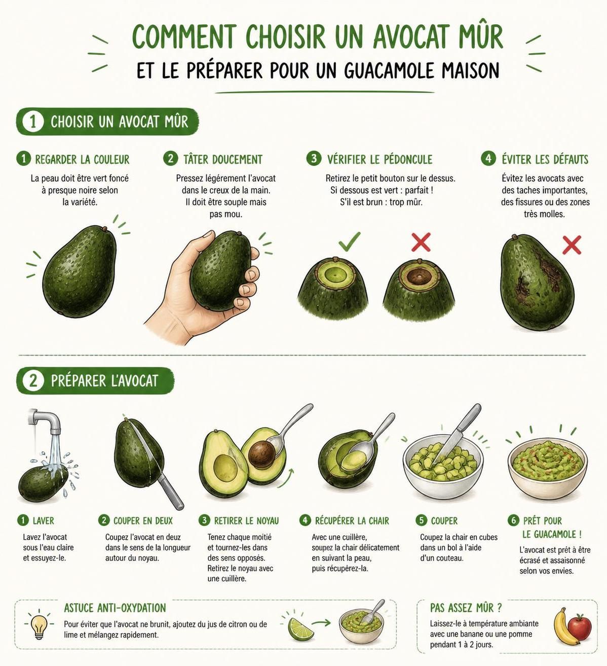 découvrez la véritable recette mexicaine du guacamole maison et apprenez à éviter les 3 erreurs essentielles pour réussir un guacamole parfait à chaque fois.