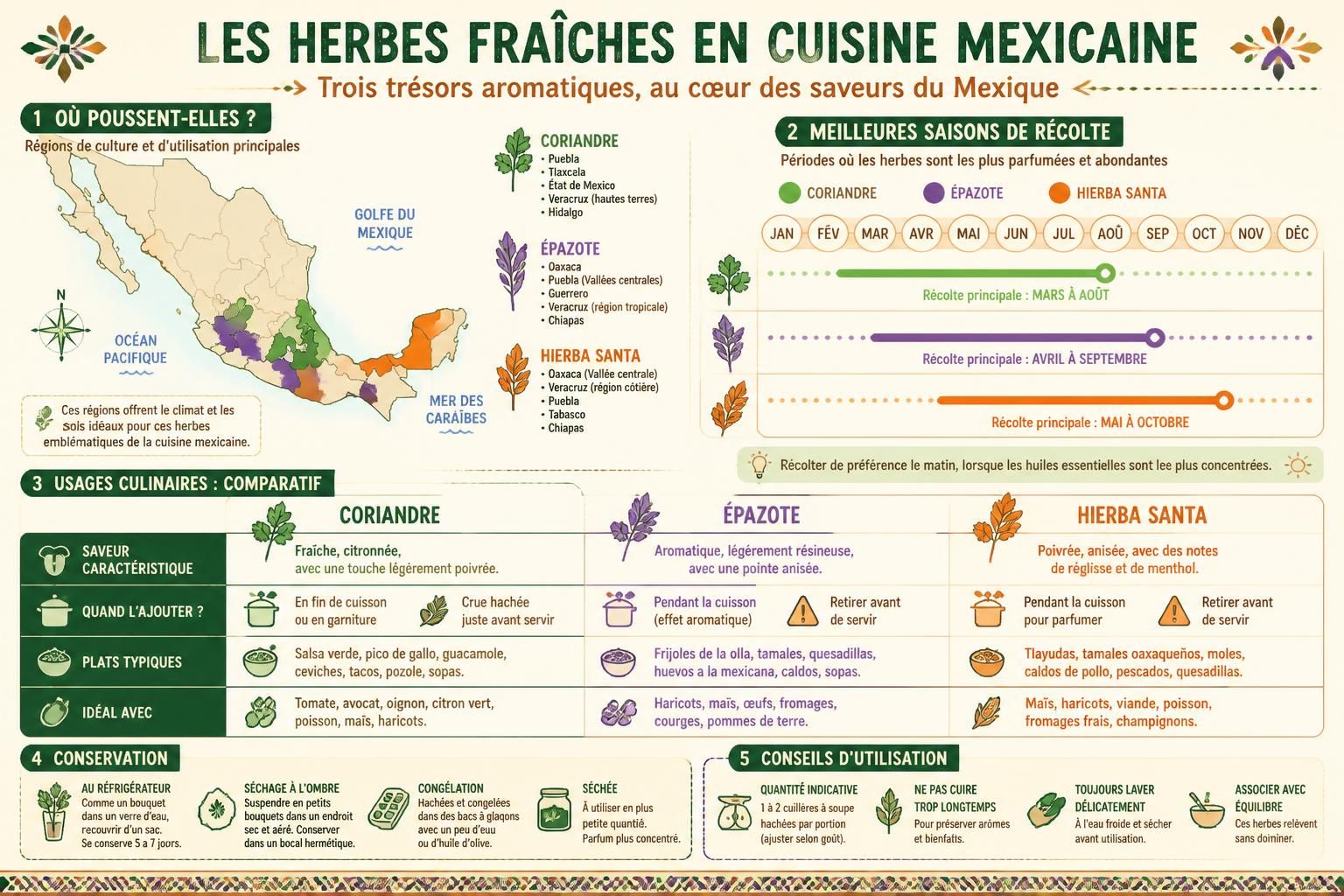 découvrez comment utiliser les herbes fraîches incontournables de la cuisine mexicaine – coriandre, épazote et hierba santa – pour sublimer vos plats avec des conseils sur le moment et la manière de les intégrer.