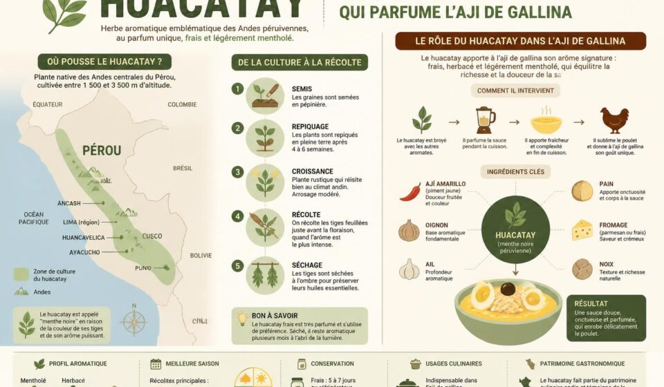 découvrez le huacatay, également connu sous le nom de menthe noire péruvienne, une épice rare qui sublime l'aji de gallina avec ses arômes uniques et délicats.