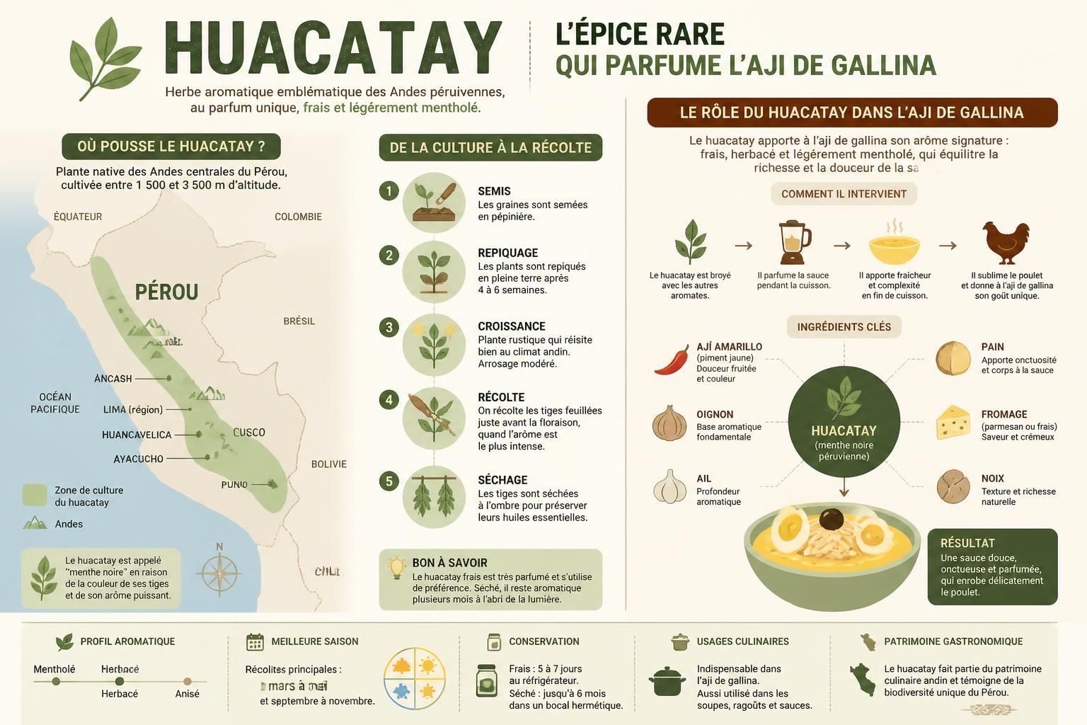 découvrez le huacatay, également connu sous le nom de menthe noire péruvienne, une épice rare qui sublime l'aji de gallina avec ses arômes uniques et délicats.