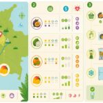 découvrez les jugos naturales colombiens, les jus de fruits frais populaires à medellín, et apprenez à les préparer facilement chez vous pour savourer un goût authentique et rafraîchissant.
