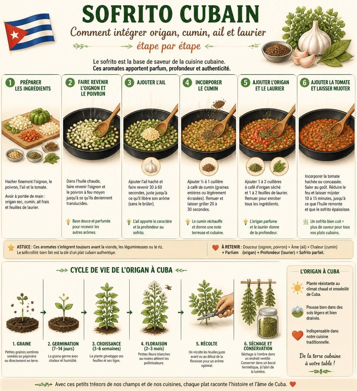 découvrez les six épices essentielles de la cuisine cubaine : cumin, origan, ail et laurier, piliers incontournables pour des saveurs authentiques et riches.