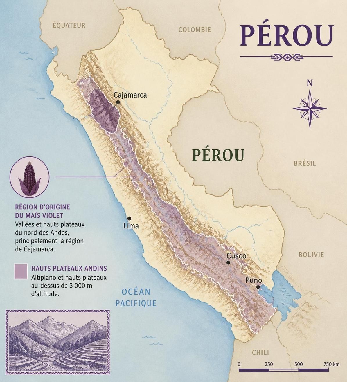 découvrez la chicha morada péruvienne, une boisson violette rafraîchissante et naturelle à base de maïs, sans alcool, idéale pour tous les moments de détente.