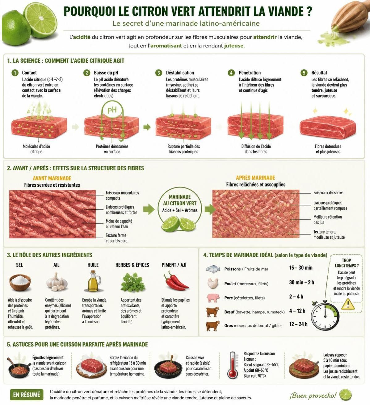 découvrez comment réussir une marinade au citron vert, l'ingrédient clé pour sublimer vos plats et maßtriser les saveurs authentiques de la cuisine latina.