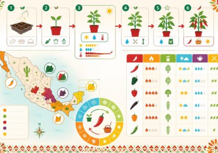 Faire pousser ses piments à la maison : le guide de la Cantina pour cuisiner mexicain avec ses propres épices découvrez comment faire pousser vos propres piments à la maison grâce au guide de la cantina, et cuisinez des plats mexicains authentiques avec des épices fraîches et maison.