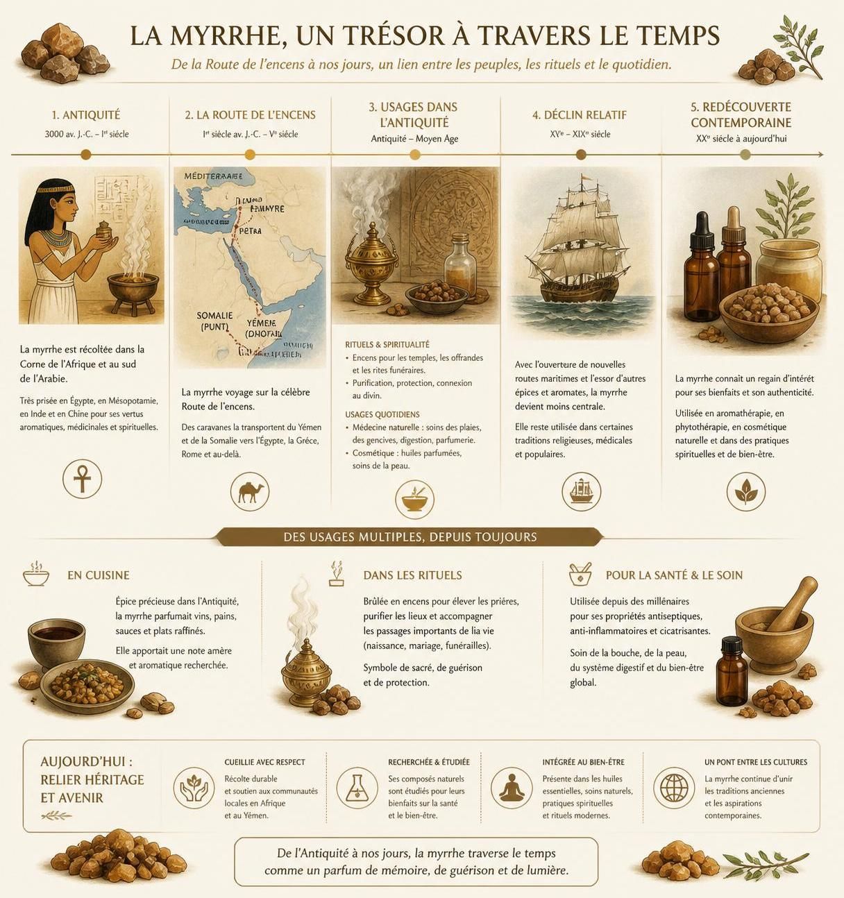 découvrez la myrrhe en cuisine, cette épice-résine ancienne qui parfumait les civilisations d'autrefois et que l'on redécouvre aujourd'hui pour sublimer vos plats.