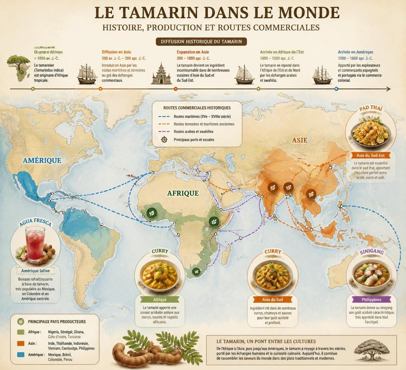 découvrez le tamarin, une épice-fruit naturelle qui apporte une touche acidulée unique à l'agua fresca, au curry et aux sauces sans utiliser de vinaigre.