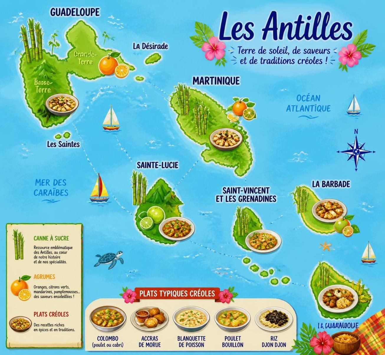découvrez comment le vinaigre de canne et le jus d'agrumes apportent des acidités uniques qui remplacent le vinaigre classique en cuisine caribéenne, pour des saveurs authentiques et originales.