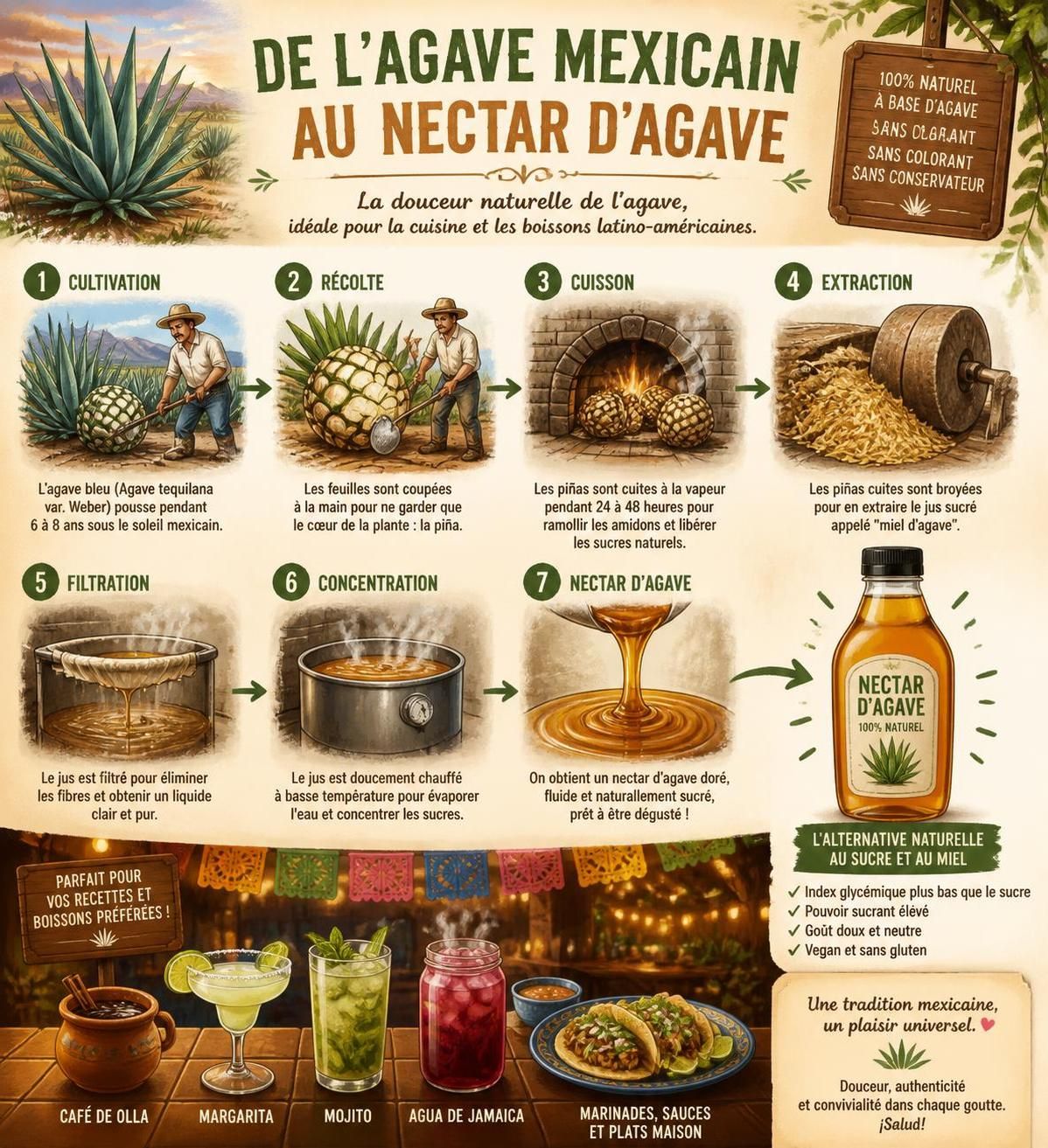 découvrez l'agave, le nectar naturel mexicain, parfait pour sucrer vos cocktails latins et desserts de cantina avec une touche authentique et saine.