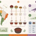 découvrez la recette authentique des haricots rouges à la mode latine, parfumés au sofrito, cumin et ail, une base savoureuse qui sublime tous vos repas.