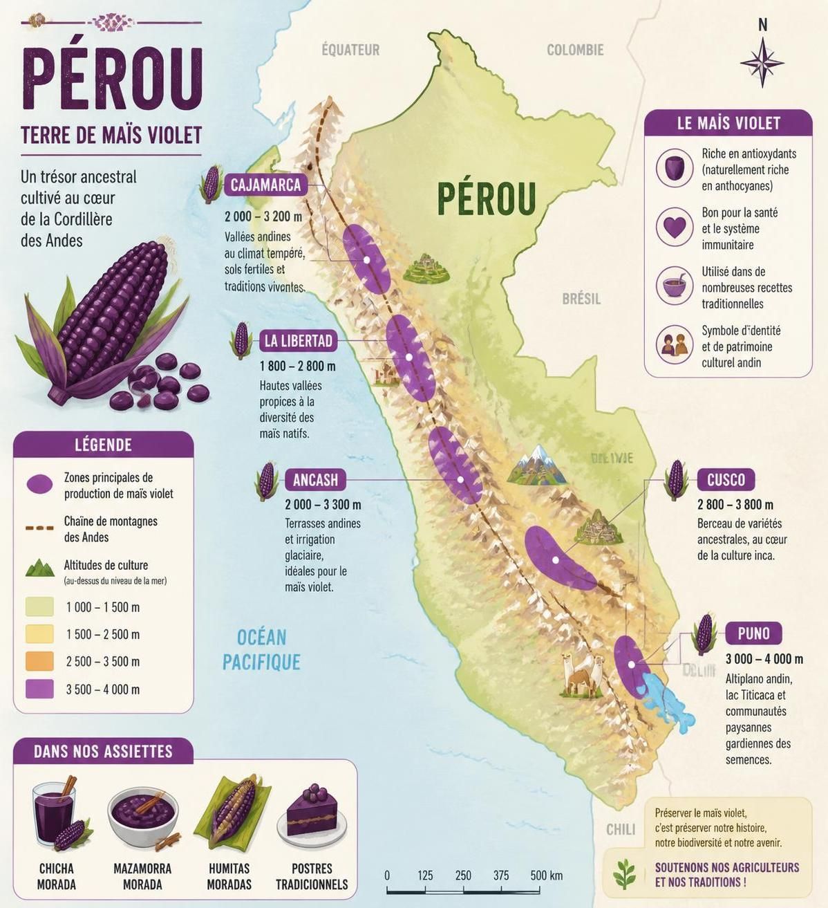 découvrez le maïs violet péruvien et ses trois usages traditionnels andins : morado, chicha et choclo, une richesse colorée aux saveurs uniques.