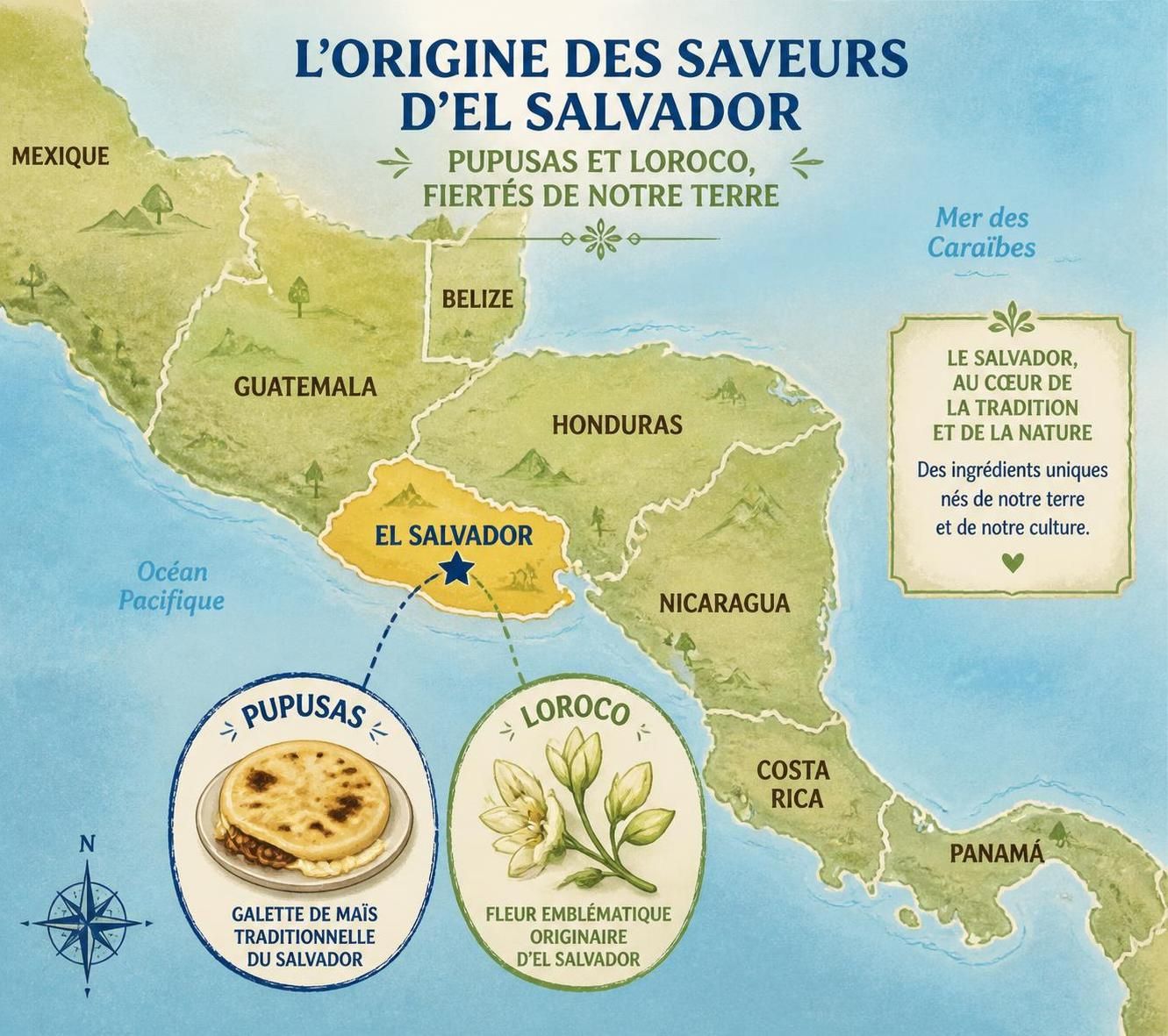 découvrez les pupusas de loroco, une spécialité fleurie et méconnue de la street food salvadorienne, à cuisiner facilement chez vous pour un voyage gourmand inédit.
